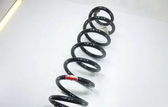 Rear coil spring