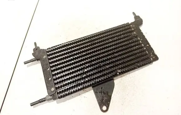 Peugeot 1007 Fuel cooler (radiator) 