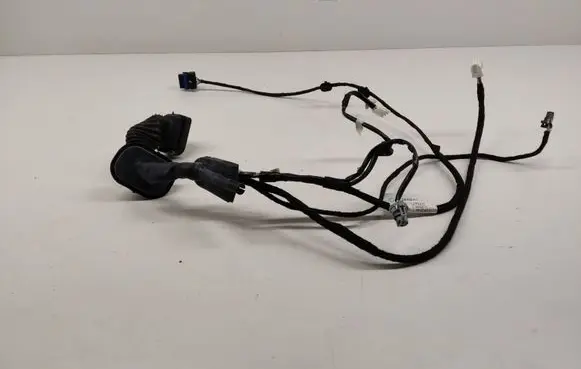Renault Kangoo II Front door wiring loom 241248736R