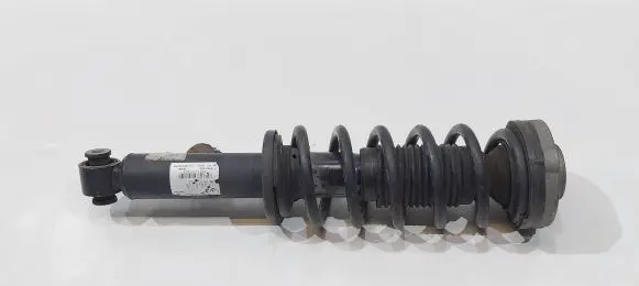 BMW X3 F25 Rear shock absorber/damper 6799911