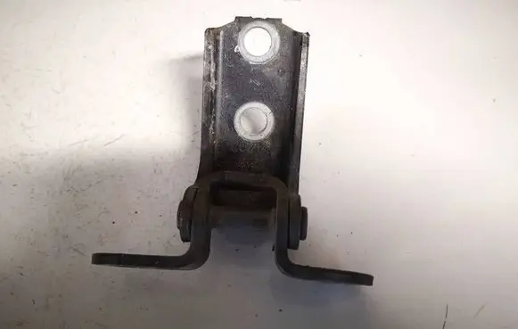 Rear door lower hinge