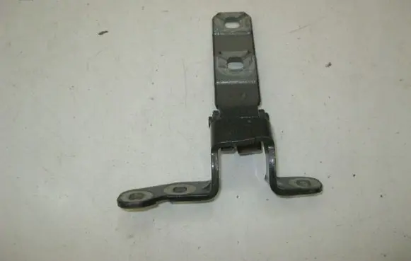 BMW X5 E70 Tailgate/trunk/boot hinge 7149627