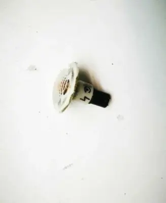 Front fender indicator light