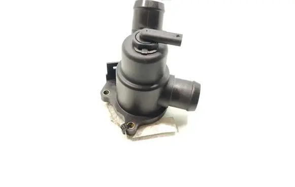 Thermostat/thermostat housing