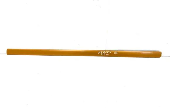 Front door trim (molding)
