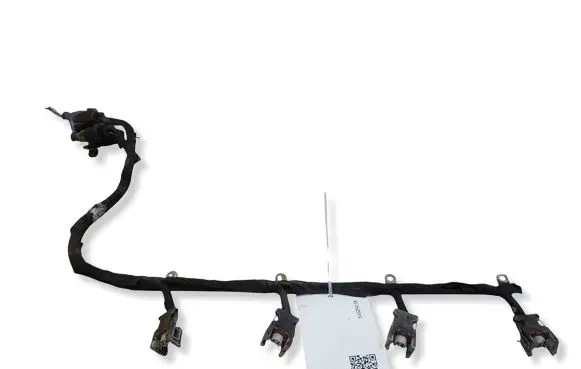 Citroen C5 Fuel injector wires 