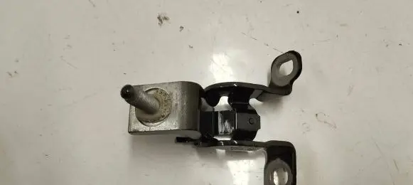 BMW 1 F40 Tailgate/trunk/boot hinge 7456043