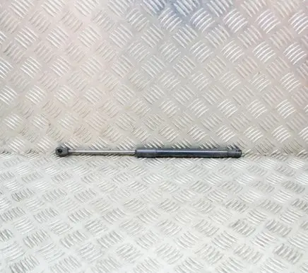 Tailgate/trunk strut/damper
