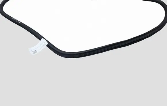 Peugeot 308 Front door rubber seal 9677519680