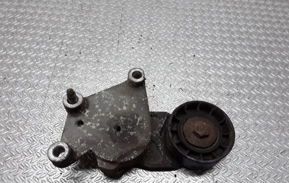 Peugeot 206 Generator/alternator belt tensioner