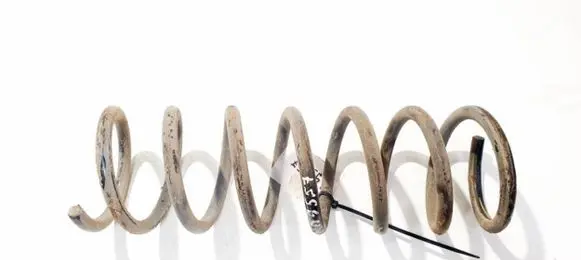 Ford Focus Rear coil spring
