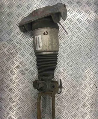 Porsche Cayenne (9PA) Air suspension front shock absorber 7L5412021BB