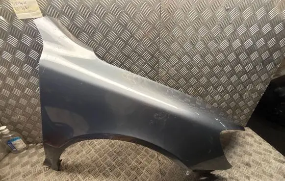 Skoda Octavia Mk2 (1Z) Fender 