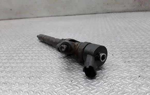 Citroen C8 Fuel injector 0445110036