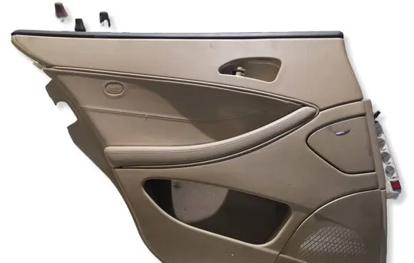 Mercedes-Benz CLS C219 Rear door card panel trim A2197300548