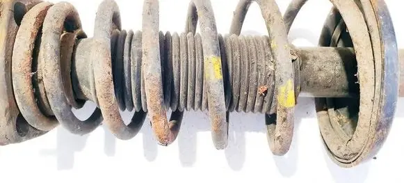 Hyundai Tiburon Rear coil spring