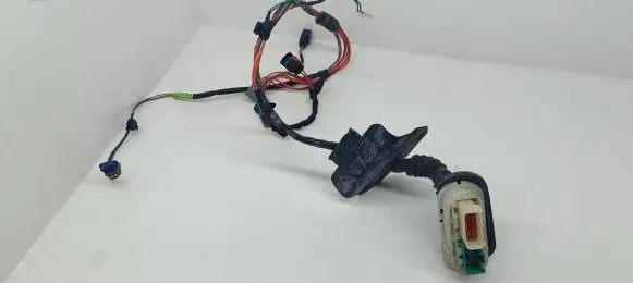 Front door wiring loom
