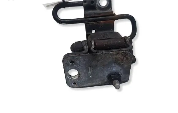 Volkswagen PASSAT CC Front door lower hinge 1234