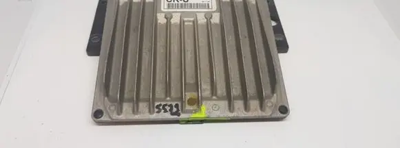 KIA Carnival Engine control unit/module 391024X520 81482566