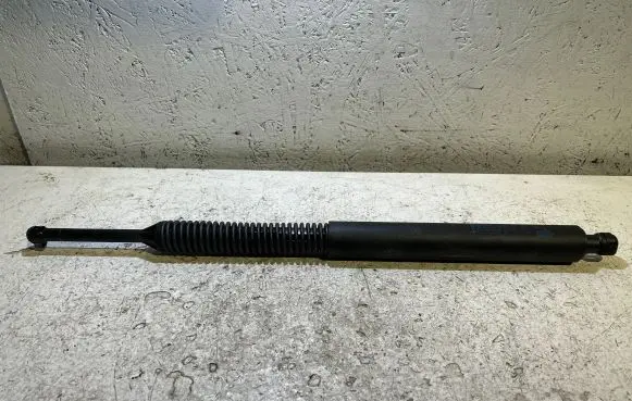 Tailgate strut