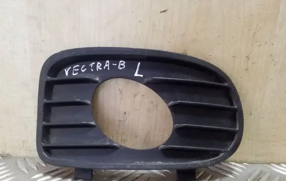 Front fog light trim/grill