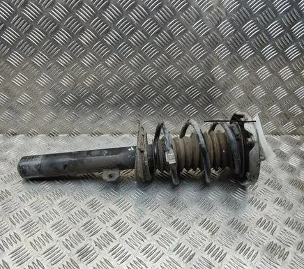 BMW X1 F48 F49 Front shock absorber/damper 6896731 14941510