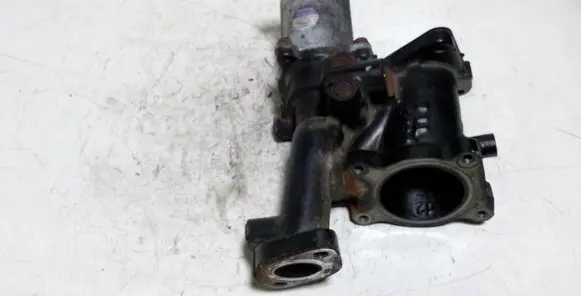 EGR valve