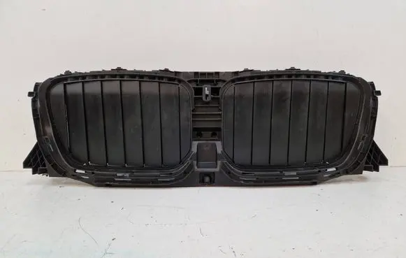 BMW X3 G01 Front grill 5A1DA48-09