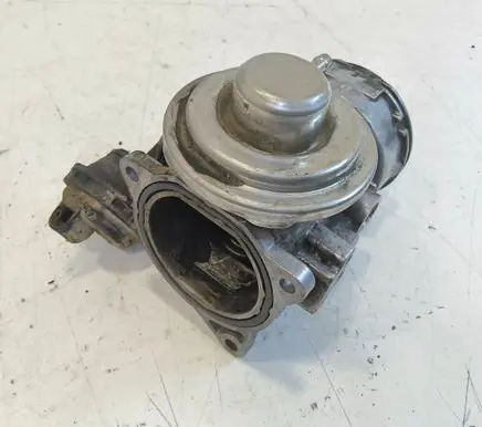 Volkswagen Sharan EGR valve 038131501J