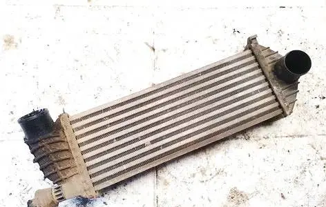 Renault Kangoo II Intercooler radiator 8200427469 k6782