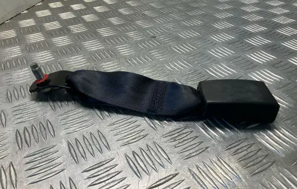 Nissan Juke I F15 Middle seatbelt buckle (rear) 2094330