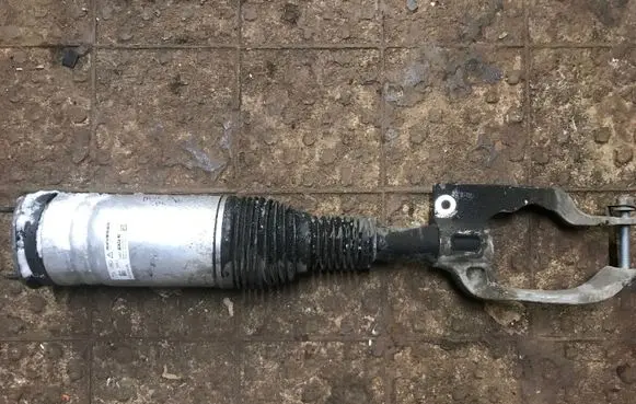 Land Rover Discovery 5 Air suspension front shock absorber HY323C286BE