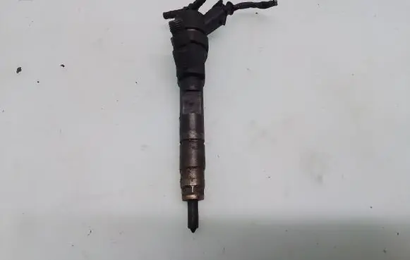 Renault Scenic II - Grand scenic II Fuel injector 0445110110B