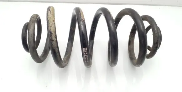 Opel Insignia A Rear coil spring 