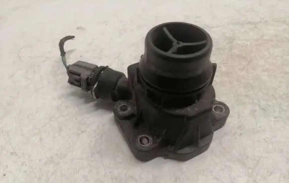 Thermostat/thermostat housing