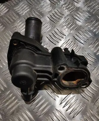 Thermostat/thermostat housing