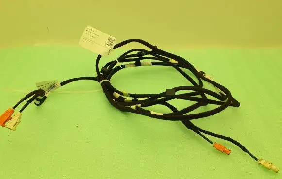 Citroen C4 III e-C4 Other wiring loom 9841399280