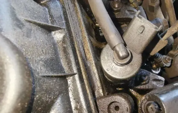 Peugeot 406 Fuel injector 9635196580 0445110008