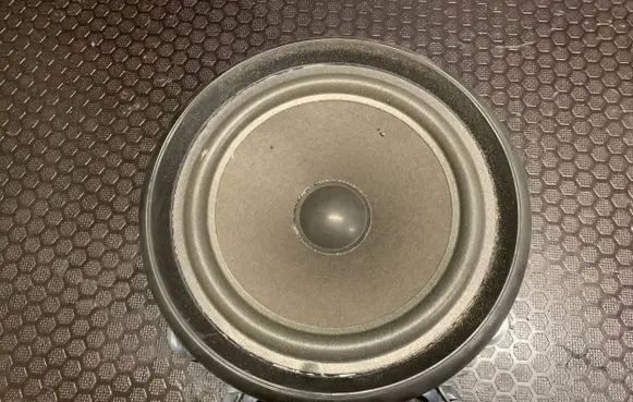 Audi A4 S4 B7 8E 8H Front door speaker 8E0035411 4485126 4910410300
