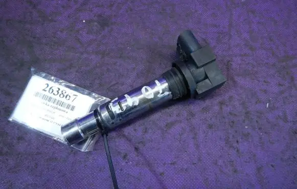 Skoda Roomster (5J) High voltage ignition coil 036905715F