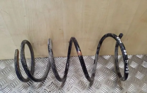 Front coil spring
