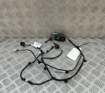 Fisker Ocean Rear door wiring loom FM2980610442C