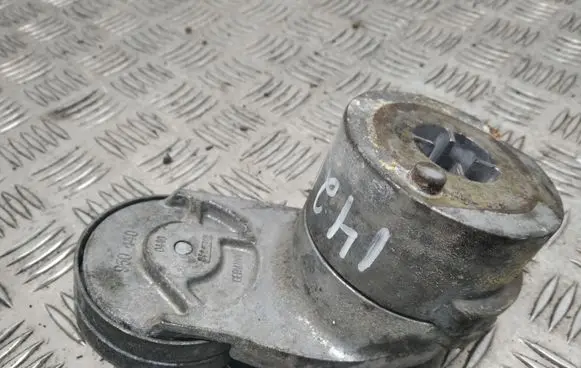 Skoda Superb B5 (3U) Alternator belt tensioner 950440