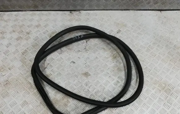 Citroen DS3 Front door rubber seal 