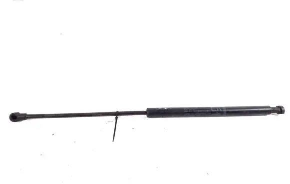 Tailgate strut