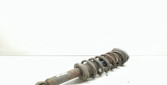 BMW X3 F25 Rear shock absorber with coil spring 6796422 33526796422