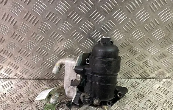Hyundai Santa Fe Oil filter mounting bracket 264102F020 264002F600