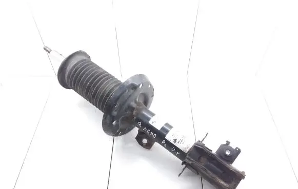Citroen Nemo Front shock absorber/damper 315126