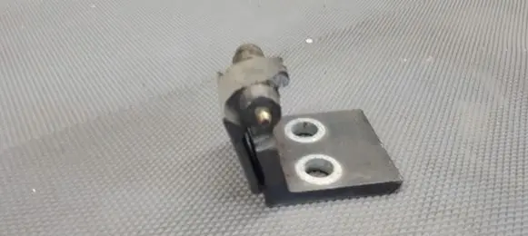 Peugeot 607 Front door hinge set 
