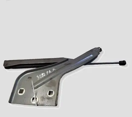 Jaguar F-Pace Engine bonnet/hood hinges HK8316800